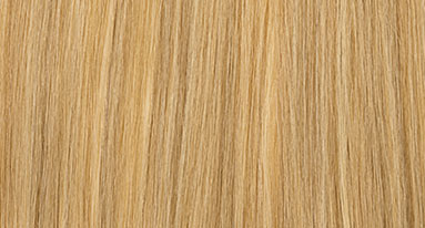 Clip In Extensions | A close up of straight honey blonde hair.